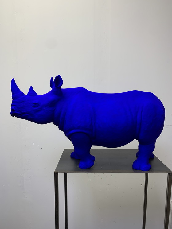 Image 1 of Neushoorn acrylhars