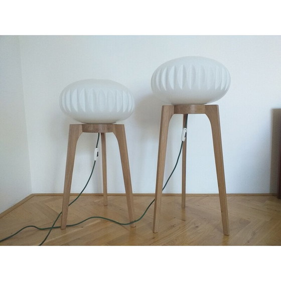 Image 1 of Paar vintage ULUV vloerlampen, 1970