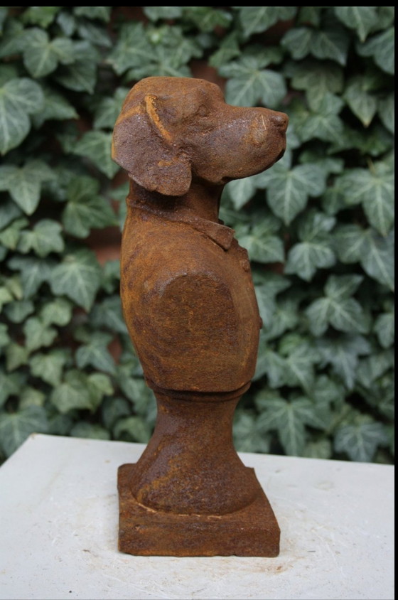 Image 1 of Bust Dog In Costume