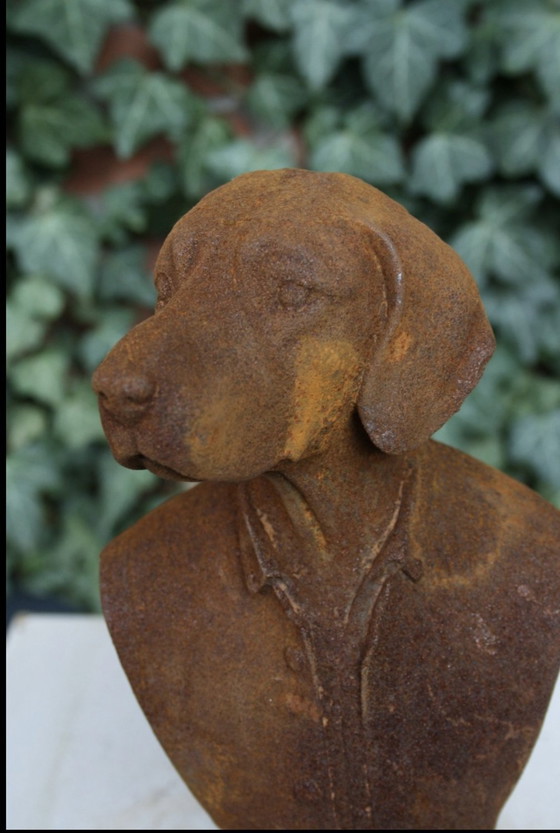 Image 1 of Bust Dog In Costume