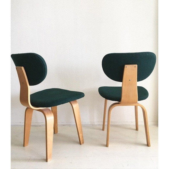 Image 1 of Paar vintage berken en multiplex stoelen van Cees Braakman voor Pastoe, 1950