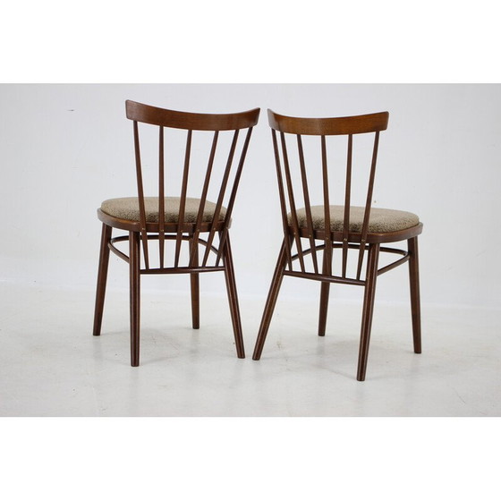 Image 1 of Set van 4 vintage eetkamerstoelen van Tatra, Tsjecho-Slowakije 1960
