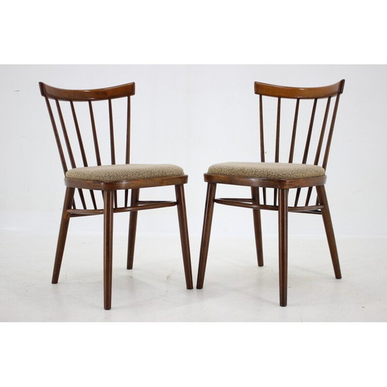 Image 1 of Set van 4 vintage eetkamerstoelen van Tatra, Tsjecho-Slowakije 1960