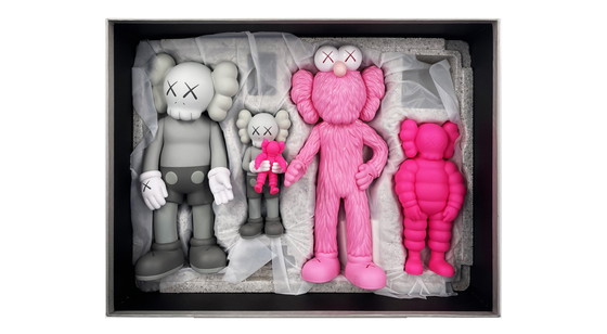 Image 1 of KAWS Family (roze/grijs) 2021