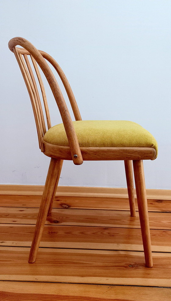 Image 1 of Eetkamerstoelen toegeschreven aan A. Suman voor Tatra Nabytok, Tsjecho-Slowakije, 1960S, set van 4