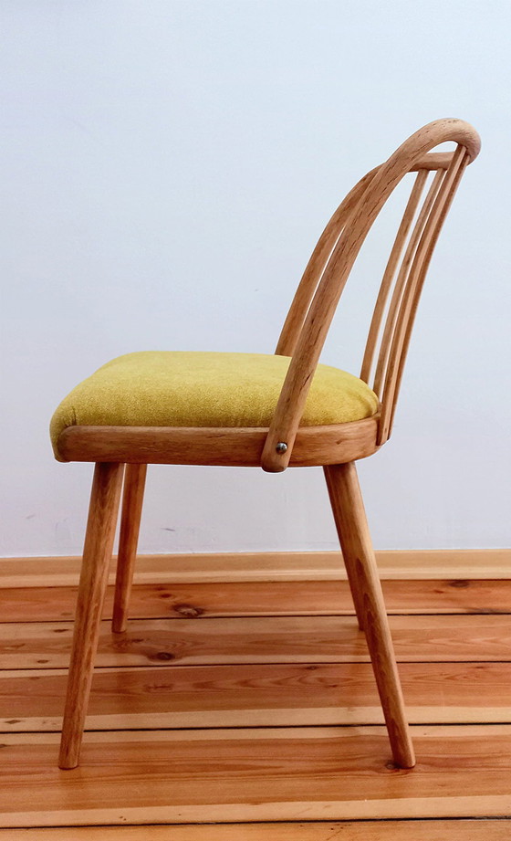 Image 1 of Eetkamerstoelen toegeschreven aan A. Suman voor Tatra Nabytok, Tsjecho-Slowakije, 1960S, set van 4