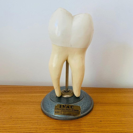 Image 1 of Vintage gevild die een houten tand voorstelt