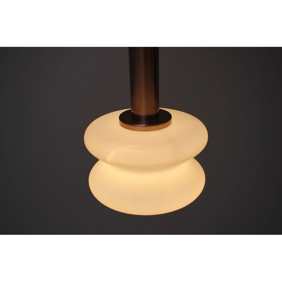 Image 1 of Vintage metalen en glazen kroonluchter van Napako, Tsjecho-Slowakije 1970