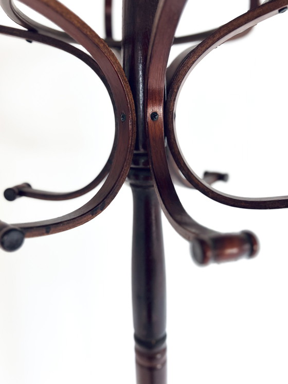 Image 1 of Bentwood Kapstok Stijl Thonet
