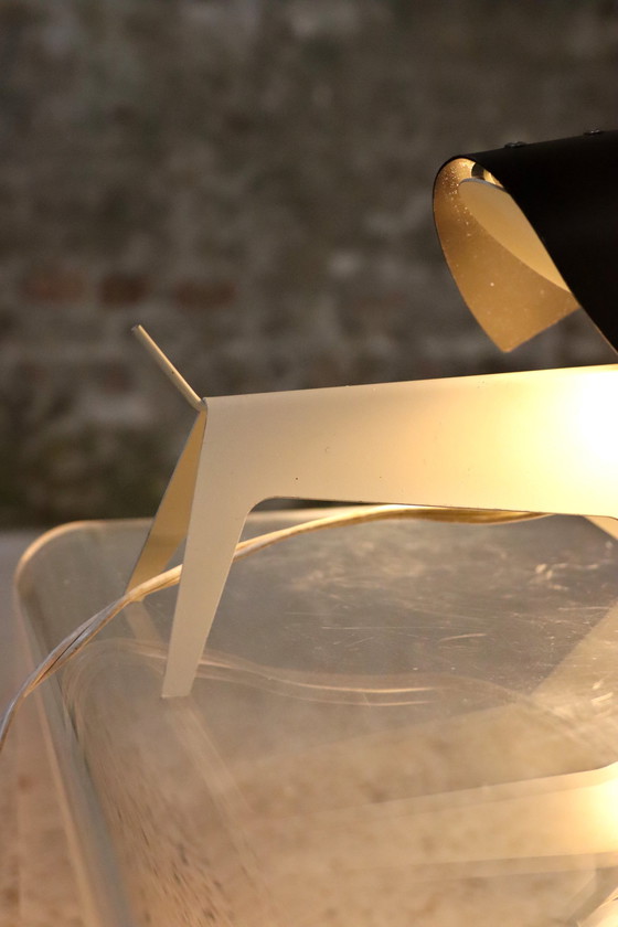 Image 1 of Jean-Boris Lacroix Hondenlamp Voor Disderot