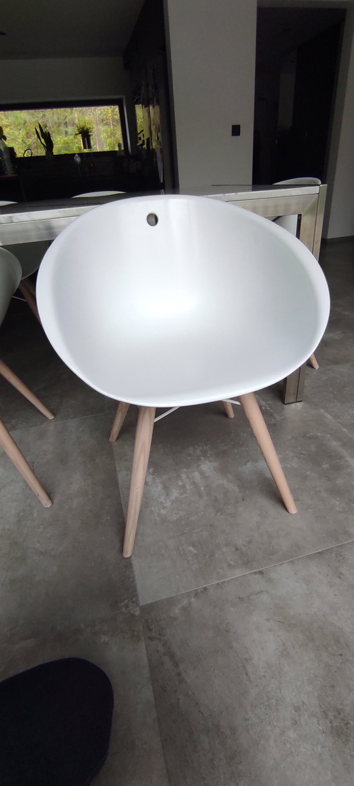 Pedrali stoelen Model Gliss Wood 904