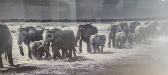 Image 1 of Baheux Laurent Crossing The Plain I