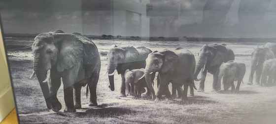 Image 1 of Baheux Laurent Crossing The Plain I