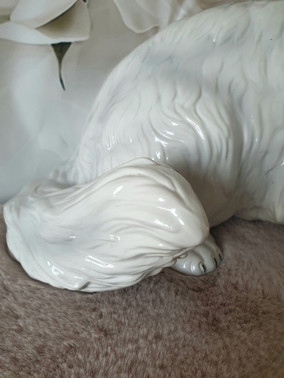 Image 1 of Ronzan Kat Xxl 
