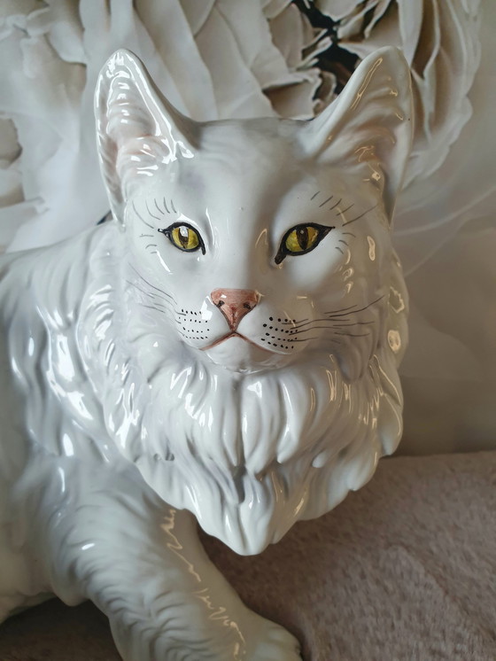 Image 1 of Ronzan Kat Xxl 