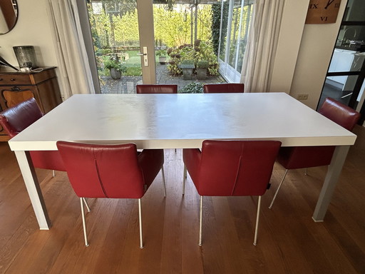 6x Label Tiba Eettafelstoelen Van Leer