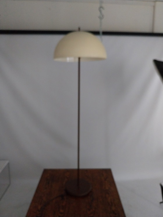 Image 1 of 1 x Dijkstra mushroom vloerlamp. 