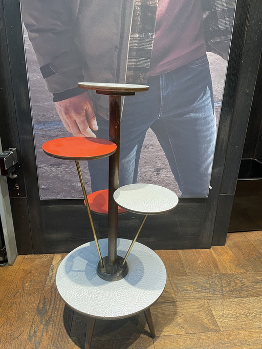 Vintage Plantentafel Uit De Jaren 60