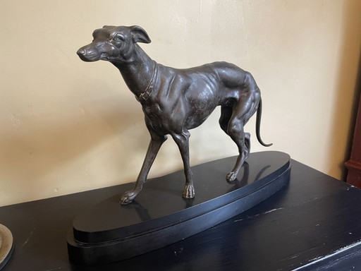 Beeld Hazewindhond Hond Art Deco 1920 Op Marmer Sokkel