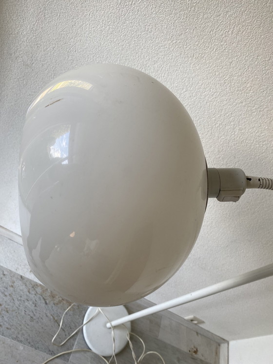 Image 1 of Staande Lamp Met Kunststof Bolle Kap