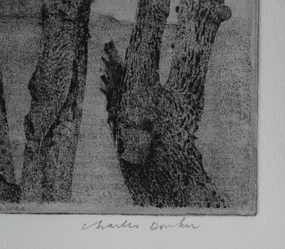 Image 1 of Charles Donker - Ingelijste ets: Knotwilgen(nette lijst!)