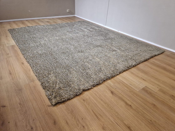 Image 1 of Cs Rugs Vloerkleed - Karpet - Sauvage 45 - Nieuw - 300X255