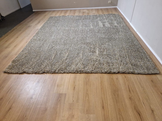 Image 1 of Cs Rugs Vloerkleed - Karpet - Sauvage 45 - Nieuw - 300X255