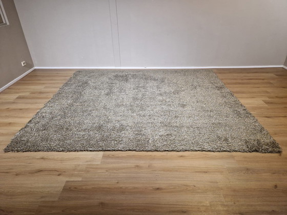 Image 1 of Cs Rugs Vloerkleed - Karpet - Sauvage 45 - Nieuw - 300X255