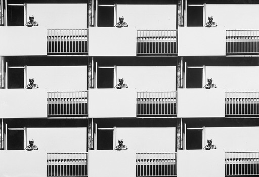 Robbert Frank Hagens.Getting Old - Analog Photomontage 1976