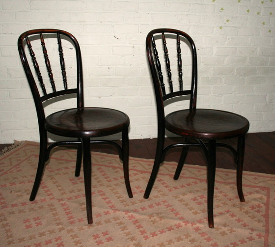 Image 1 of 2 Gerestaureerde Thonet N°85 Stoelen