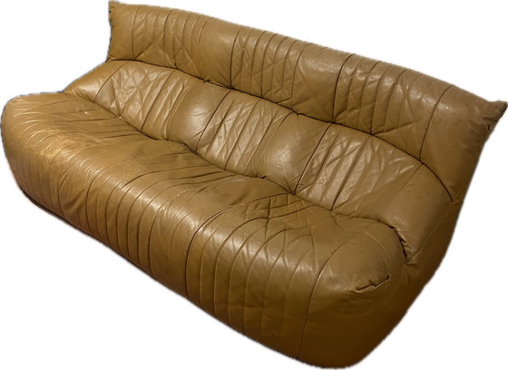 Image 1 of Ligne Roset Sofa Model Aralia