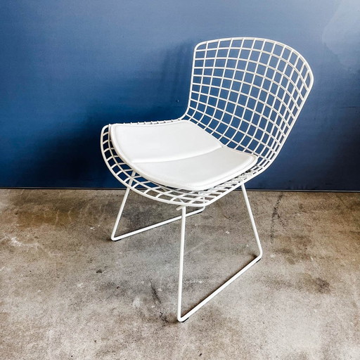 Knoll International - Bertoia Stoel - Rilsan/Vinyl Wit - Nieuw!