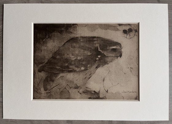 Image 1 of Jan Mankes 1889-1920 / Heliogravure Roofvogel Op Tak 1923