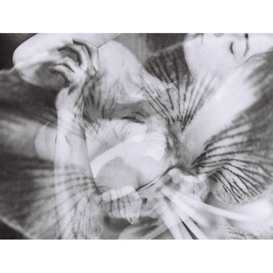 Image 1 of Vintage schilderij Mouvements Naturels 09 van Meïdhy Bichon, 2019