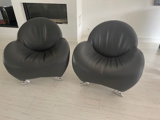 2x Leolux Fauteuils Papagano