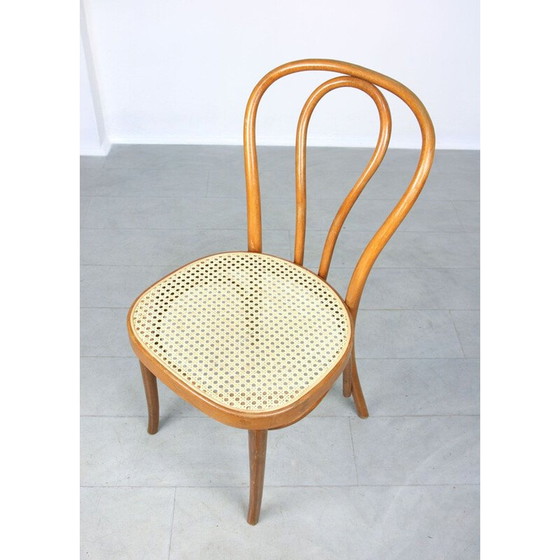 Image 1 of Paar vintage stoelen No.218 van Michael Thonet