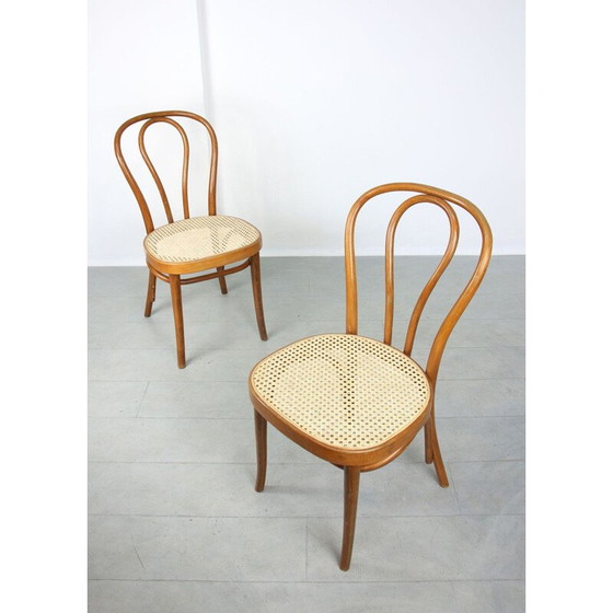 Image 1 of Paar vintage stoelen No.218 van Michael Thonet