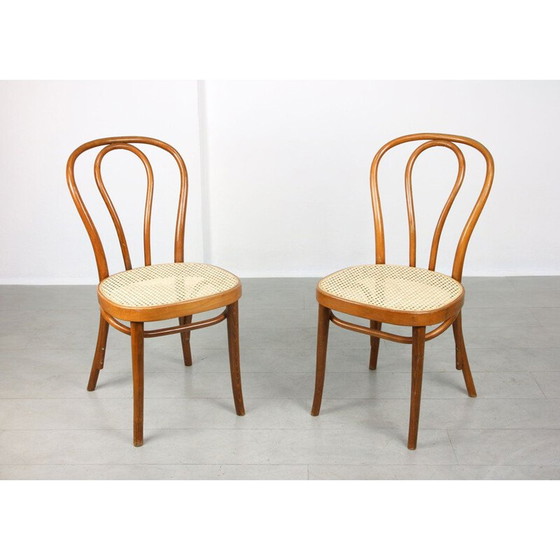 Image 1 of Paar vintage stoelen No.218 van Michael Thonet