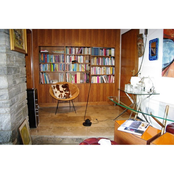 Image 1 of Vintage Terra Daphine vloerlamp door Tommasso Cimini, 1970