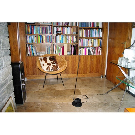 Image 1 of Vintage Terra Daphine vloerlamp door Tommasso Cimini, 1970