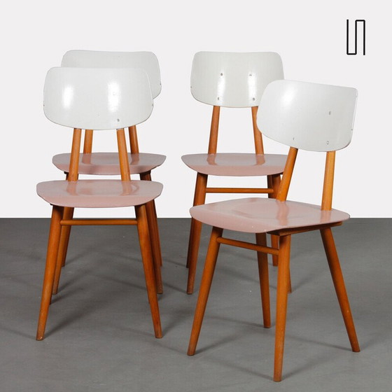 Image 1 of Set van 4 vintage houten stoelen voor Ton, Tsjecho-Slowakije 1960