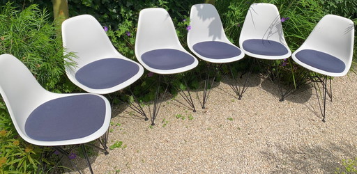 6x Vitra Eames Kunststof BijzetStoel DSR