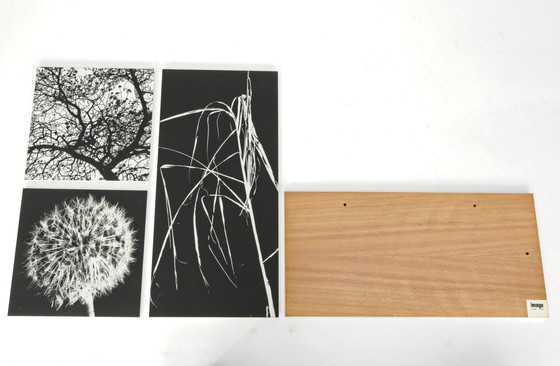 Image 1 of 4x monochrome prints op houten panelen