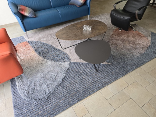 Vloerkleed Karpet Millenerpoort Bella Corso 220X330