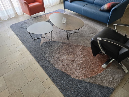 Vloerkleed Karpet Millenerpoort Bella Corso 220X330