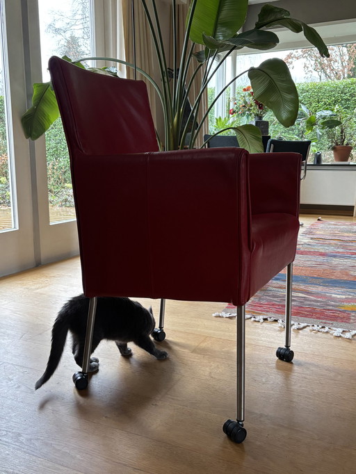 8 Mooie Leren Kuipstoelen, Bijvoorbeeld Voor De Eetkamer 