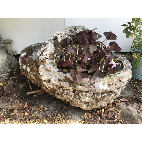 Image 1 of Vintage cement mand plantenbak, 1950