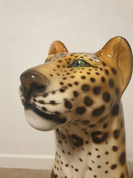 Image 1 of Favaro Checcheto Panter Xxl 