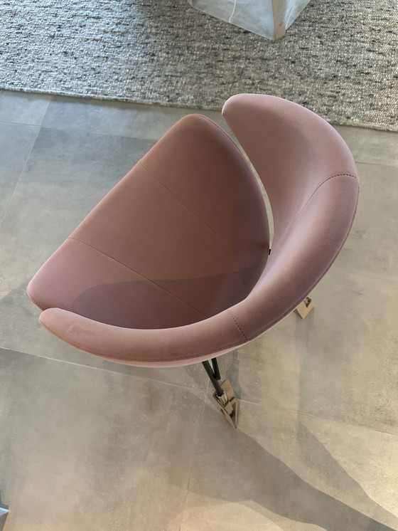 Image 1 of 2x Iker chair cheri velvet