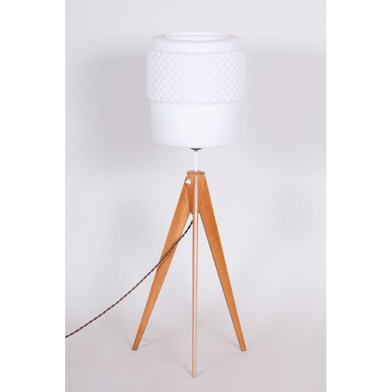 Image 1 of Mid century tripodes vloerlamp, 1950